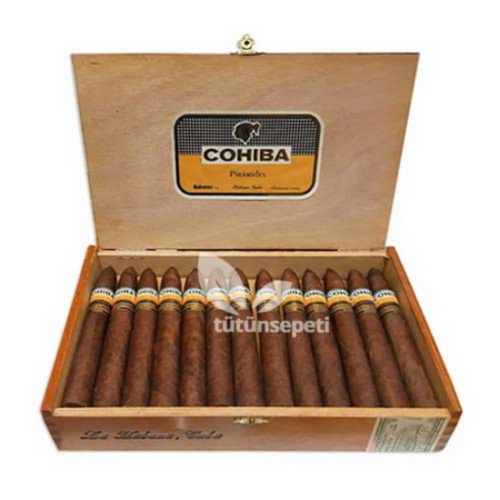 Cohiba Piramides Puro – 25’s Ahşap Kutu DOMİNİC